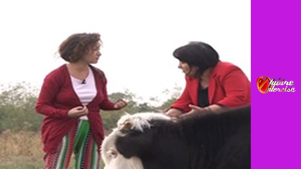 Iubire interzisa Сезон 9 Епізод 6