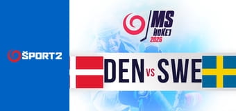 IIHF MS