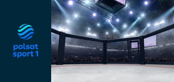 MMA: UFC