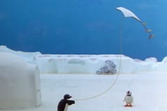 Pingu Évad 2 Epizód 12