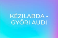 Kézilabda - Győri Audi ETO KC - Metz