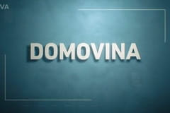 Domovina