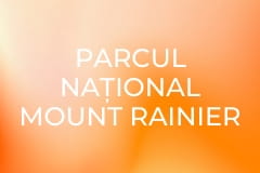 Parcul Național Mount Rainier