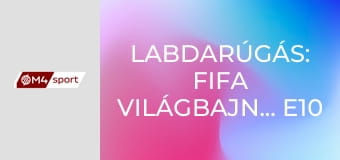 Labdarúgás: FIFA Világbajnokság E10