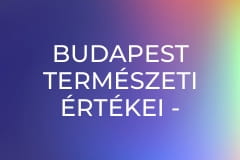 Budapest természeti értékei - A homoktövis újpesti élőhelye