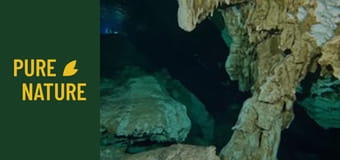 Мексикански подводни пещери: Невероятен подводен свят