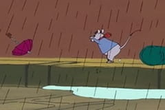 Sewer Rats