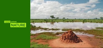 Dawno temu w Tsavo S1E1 - Czasy dobrobytu