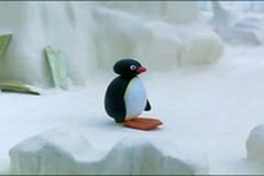 The Pingu Show Séria 1 Epizóda 37