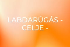 Labdarúgás - Celje - Slovan