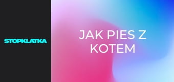 Jak pies z kotem