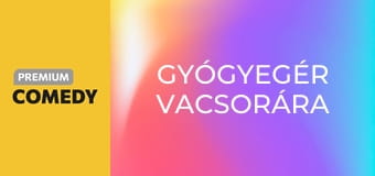 Gyógyegér vacsorára