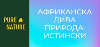 Африканска дива природа: Истински звуци от Африка