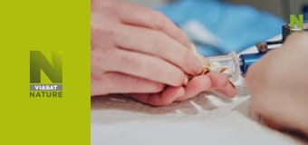 Veterinári pre nezvyčajné domáce zvieratá (5)