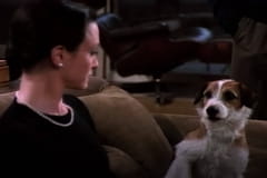 Frasier Season 1 Episode 17 - Sen noci hromničnej