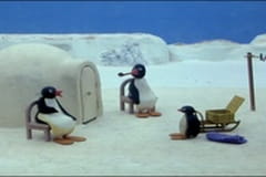 The Pingu Show Season 1 Episode 60