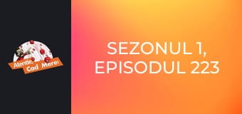 Sezonul 1, Episodul 223