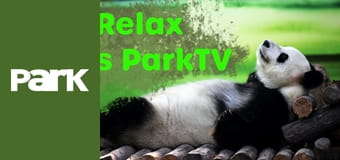 Relax s Park TV