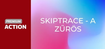 Skiptrace - A zűrös páros