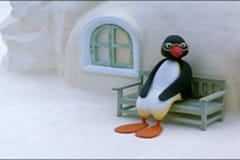 The Pingu Show Řada 1 Epizoda 35