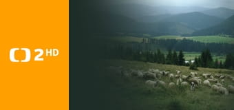 Návraty k divočině E11 - Šumava