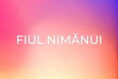 Fiul nimănui