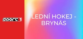 Lední hokej - Brynäs - Växjö