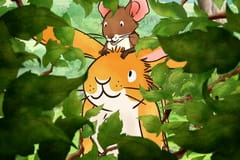 Találd ki, mennyire szeretlek! Évad 2 Rész 1 - A kis zöld kukac