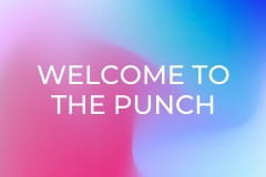 Welcome to the Punch