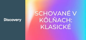 Schované v kôlňach: Klasické autá II (10)