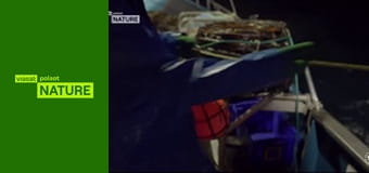 Australijscy poławiacze homarów S5E7
