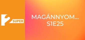 Magánnyomozók S1E25