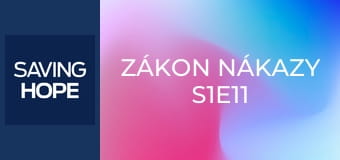 Zákon nákazy S1E11