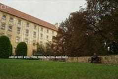 Hvězdy stříbrného plátna