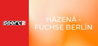 Házená - Füchse Berlín - One Veszprém