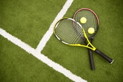 Tenisz: ATP500, Halle