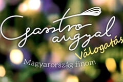 Gasztroangyal - Miskolc