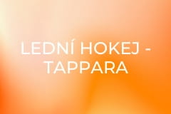 Lední hokej - Tappara Tampere - Bílí Tygři Liberec
