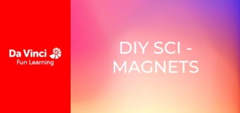 DIY SCI - Magnets