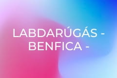 Labdarúgás - Benfica - Académico