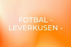 Fotbal - Leverkusen - Celje