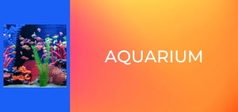 Aquarium