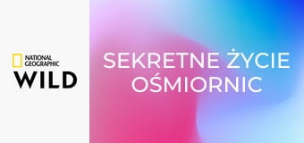 Sekretne życie ośmiornic S1E2 - Genialne umysły