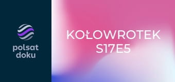 Kołowrotek S17E5