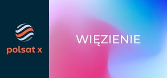 Więzienie S7E19
