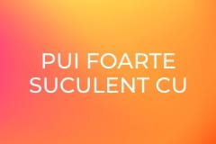 Pui foarte suculent cu sos într-o tortilla crocantă