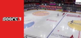 Lední hokej - Rapperswil-Jona - Zug