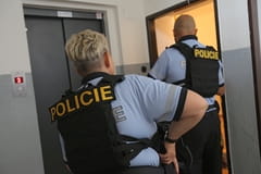 Policie Delta