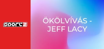 Ökölvívás - Jeff Lacy vs Richard Grant, ism., HD