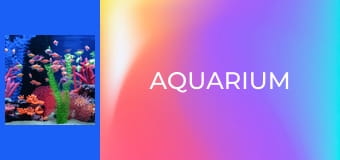 Aquarium